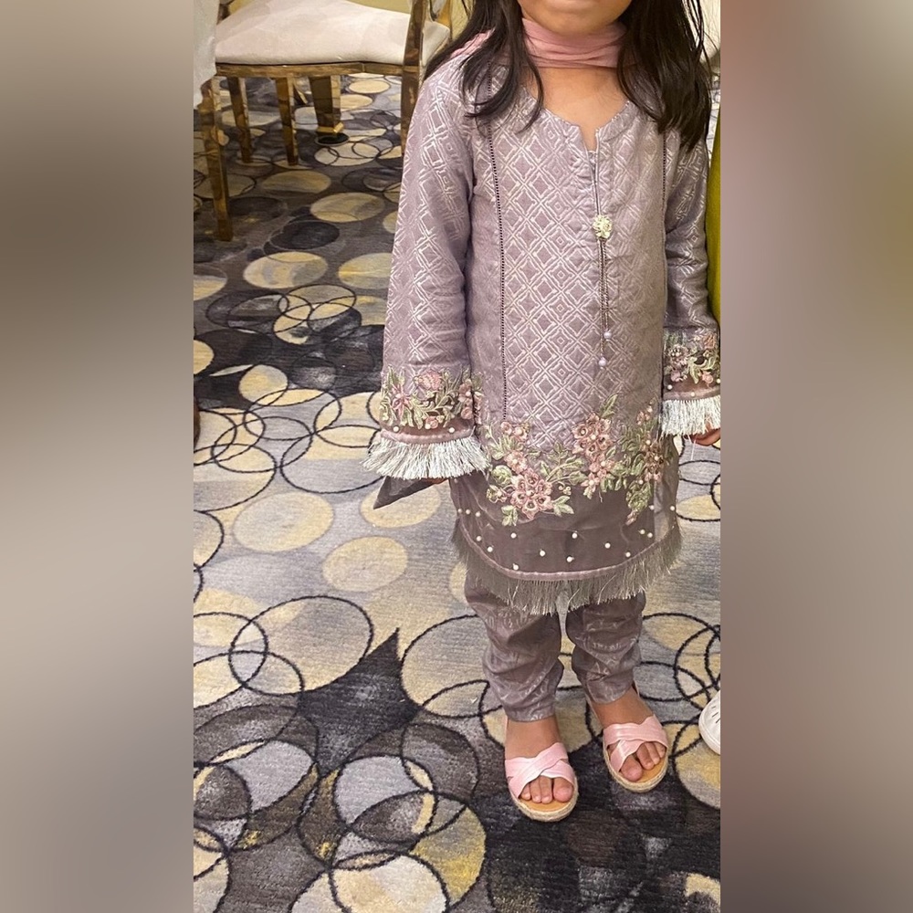 Charming Floral Embroidered Kids Dress
